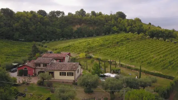 Cavatufo, Agriturismo in Santarcangelo di Romagna