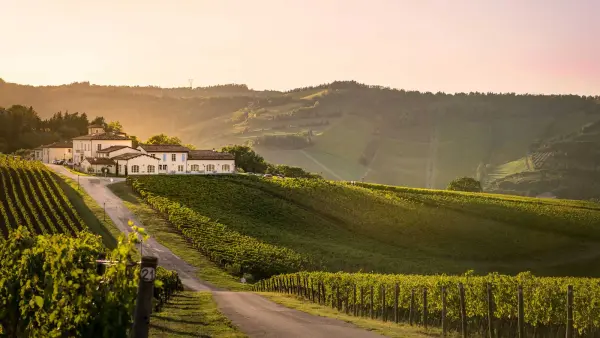 Cittadella del Vino - Conde', Agriturismo in Predappio