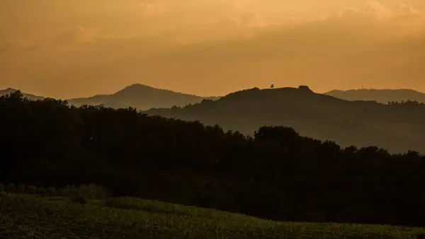 Cittadella del Vino - Conde', Agriturismo in Predappio