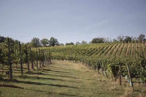Domini Glicine, gospodarstwo agroturystyczne w Cesena