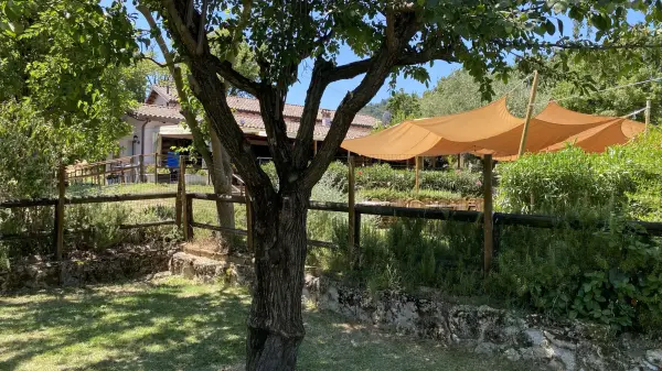 Fattoria la Quercia, Agriturismo in Bertinoro