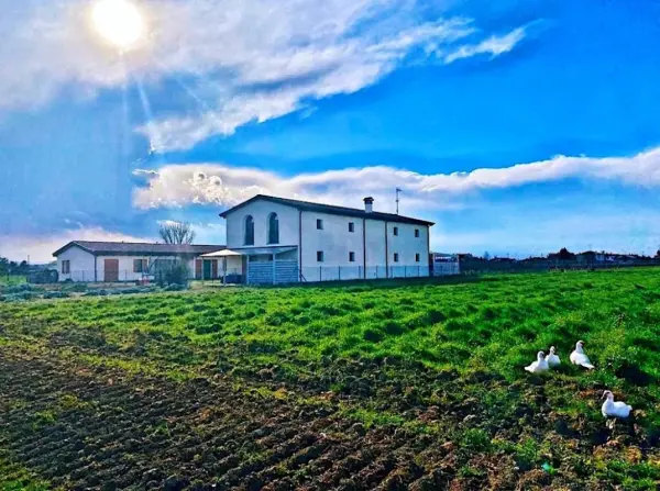 I Cuori, gospodarstwo agroturystyczne w Bagnara di Romagna