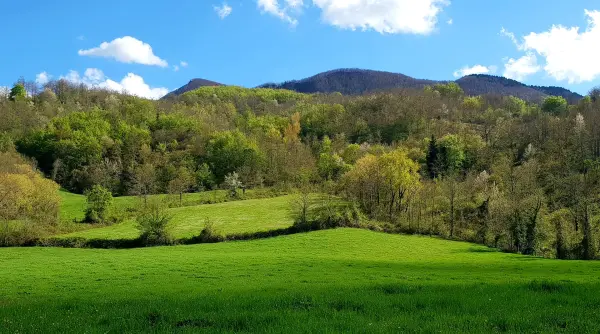 Il Falco, lantgård i Verghereto