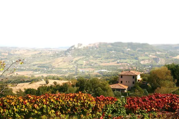 Il Pomo Reale, Agriturismo in Poggio Torriana