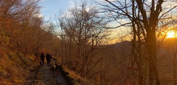 Il Rifugio Nel Comero, lantgård i Verghereto