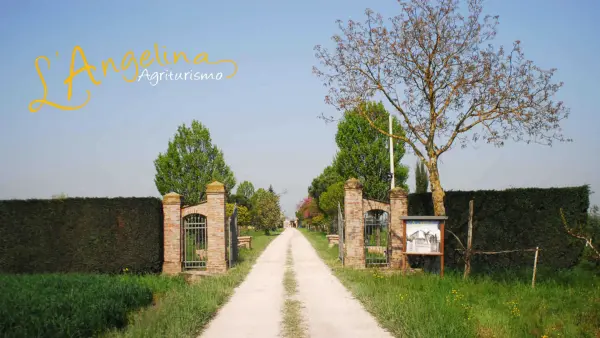 L'Angelina, gospodarstwo agroturystyczne w Alfonsine