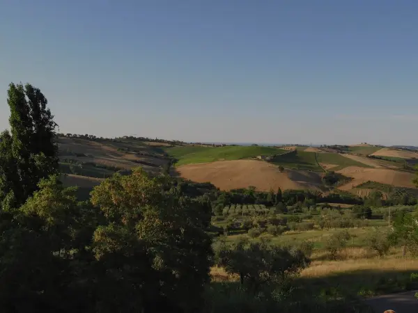 Locanda Belvedere, agriturismo a Saludecio