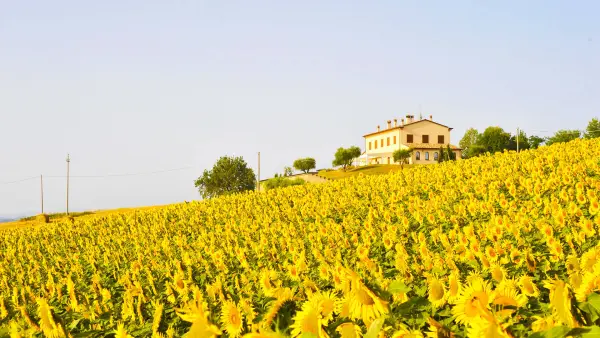 Dei Lumi, Agriturismo in Meldola