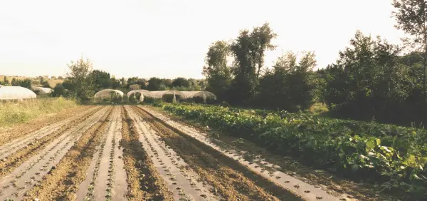 Pian del Pigro, gårdsopphold i Rimini