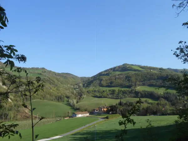 Ristorante dal Maggi, gospodarstwo agroturystyczne w Modigliana
