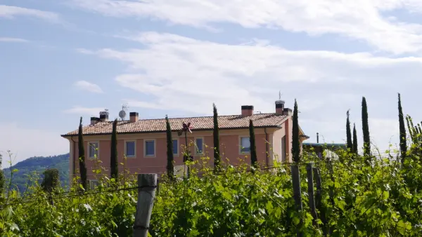 TENUTA MARA Wine Relais, agriturismo a San Clemente