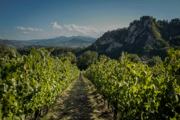 Tenuta Saiano, Agriturismo in Poggio Torriana