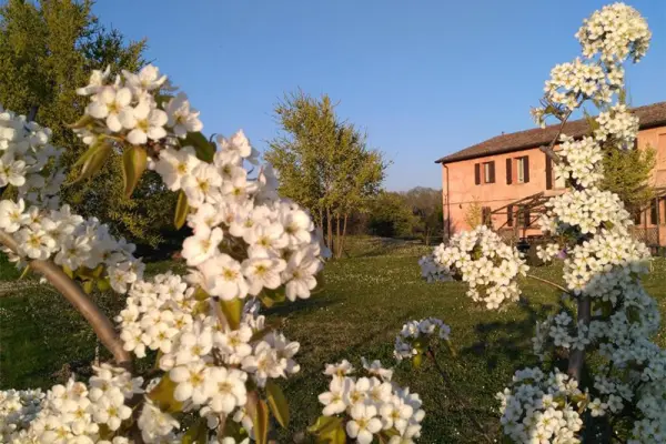 Il Picchio Rosso, Agriturismo in Forlì
