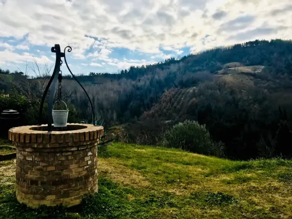 Le Lucciole, Agriturismo in Bertinoro