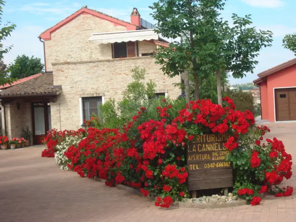 Antica Fonte la Cannella, gospodarstwo agroturystyczne w Longiano