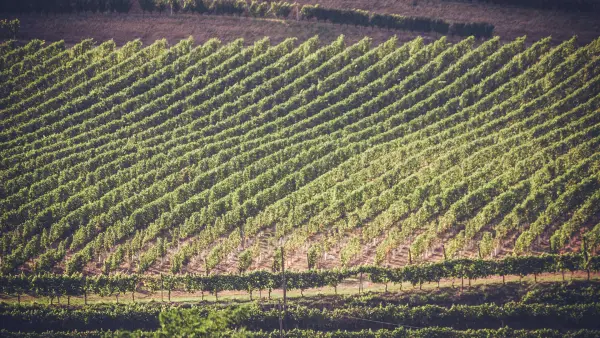 Azienda Agricola Santodeno  - Societa' Agricola, gårdsopphold i Civitella di Romagna