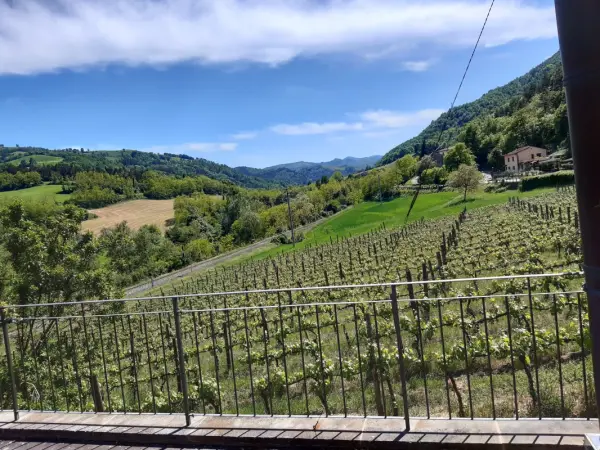 Pedrosola, gårdsopphold i Brisighella