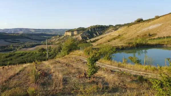 Il luogo: Panorama della zona della Costa presso Borgo Rivola