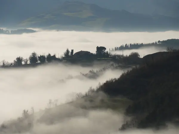Veduta del territorio di Borgo Rivola