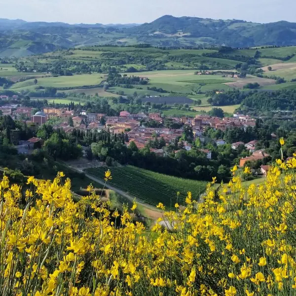 Il luogo: Riolo Terme