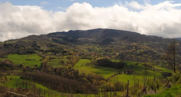 Il luogo: L'Alpe di Monghidoro, l'altura boscosa dove il sentiero dei presepi raggiunge la Croce dell'Alpe.