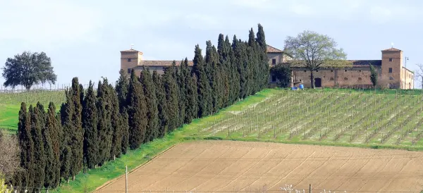 Castello di Ribano, Savignano sul Rubicone