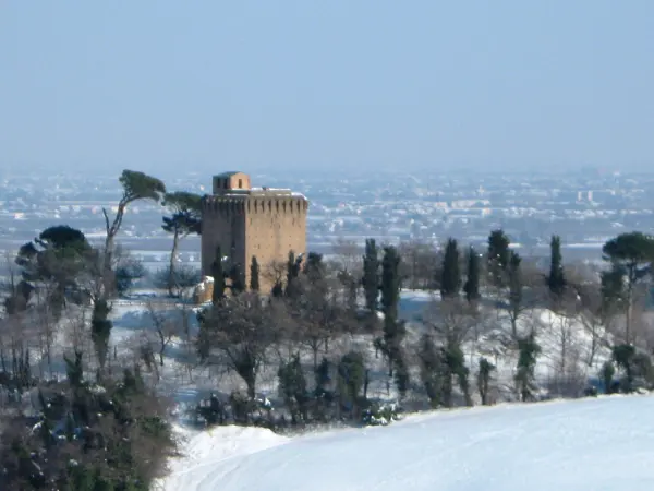 Torre di Oriolo dei Fichi, Faenza