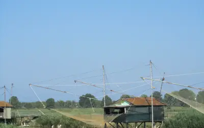 Capanni con il bilancione da pesca nella Pineta di Classe, Ravenna