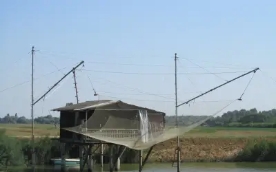 Un padellone su palafitta con la rete alzata, Pineta di Classe
