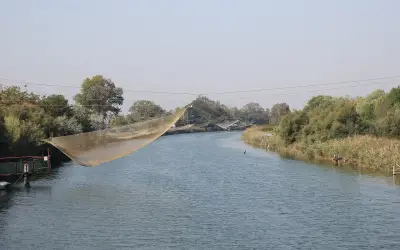 La rete di un padellone sollevata sui Fiumi Uniti, Ravenna