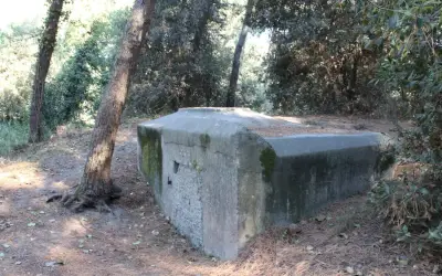 Un bunker tipo Tobruk nella pineta di Punta Marina