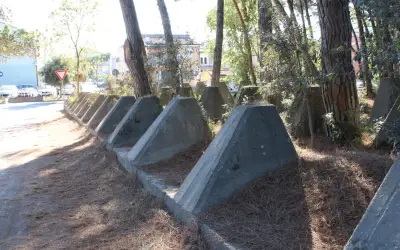 I denti di drago anticarro nella pineta di Punta Marina
