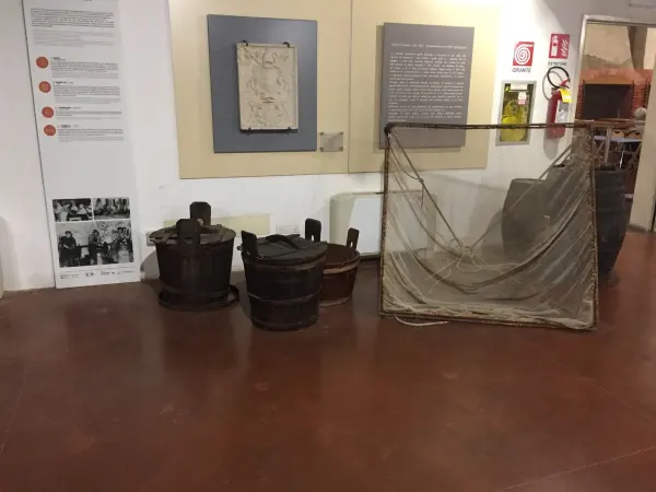 La Manifattura dei Marinati di Comacchio, dove si marinano le anguille