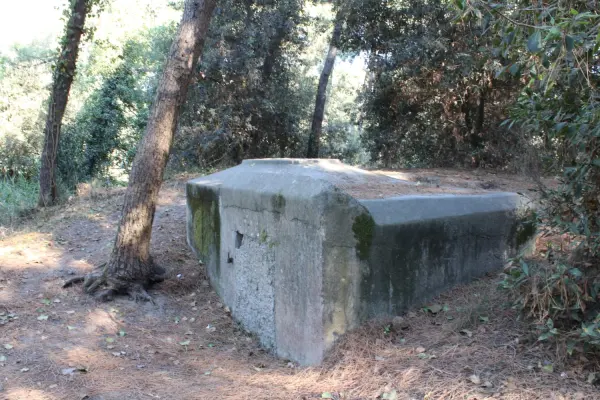 Ein Bunker vom Typ Tobruk im Pinienwald von Punta Marina