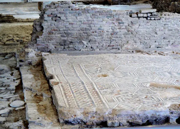 Domus del Chirurgo, Rimini