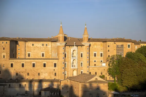 Palazzo Ducale, Urbino