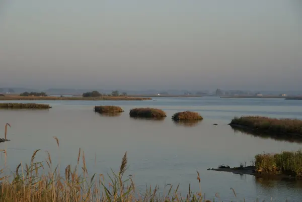 Valli di Comacchio