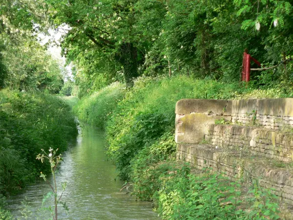 Il Canale dei Mulini visto dal Ponte delle Lavandaie, Lugo